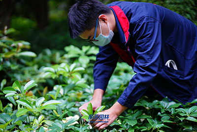 ��ҳ| 918�����ü����й��ٷ���վ