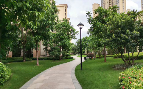 ��ҳ| 918�����ü����й��ٷ���վ