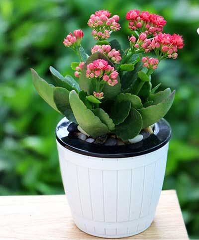 ��ҳ| 918�����ü����й��ٷ���վ