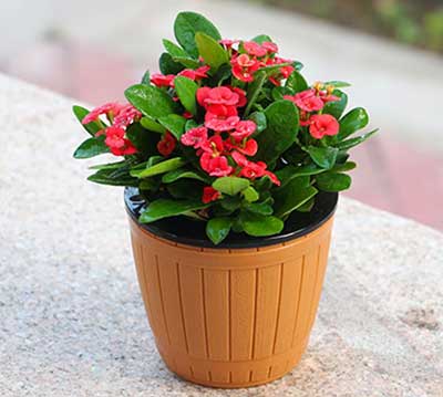 ��ҳ| 918�����ü����й��ٷ���վ