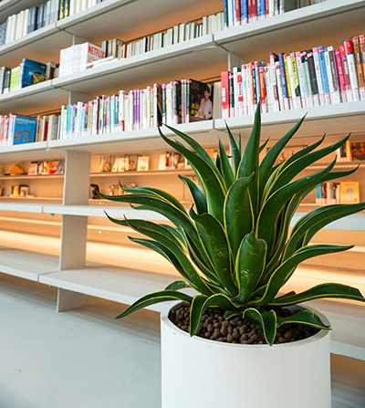 ��ҳ| 918�����ü����й��ٷ���վ