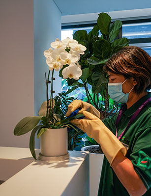 ��ҳ| 918�����ü����й��ٷ���վ