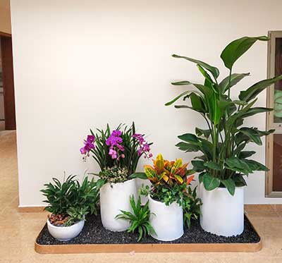 ��ҳ| 918�����ü����й��ٷ���վ