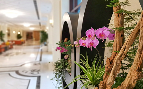 ��ҳ| 918�����ü����й��ٷ���վ