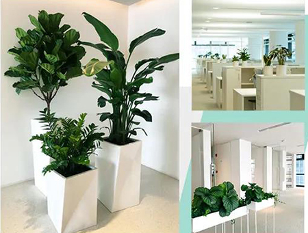 ��ҳ| 918�����ü����й��ٷ���վ