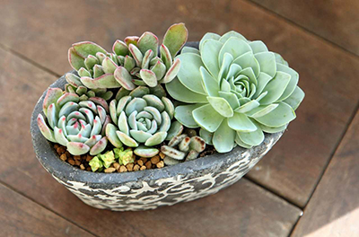 ��ҳ| 918�����ü����й��ٷ���վ