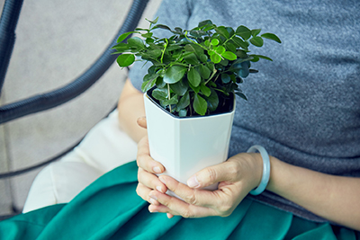 ��ҳ| 918�����ü����й��ٷ���վ