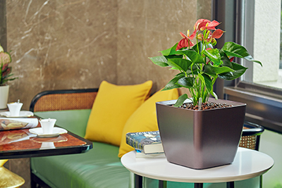 ��ҳ| 918�����ü����й��ٷ���վ