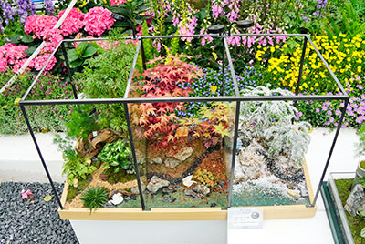 ��ҳ| 918�����ü����й��ٷ���վ