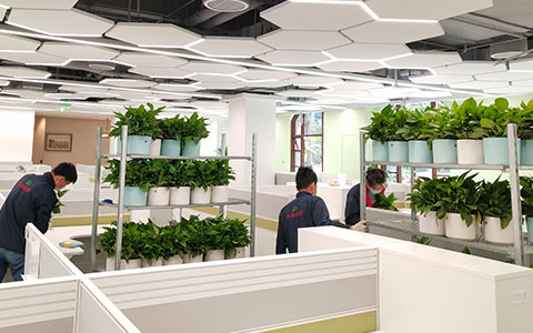 ��ҳ| 918�����ü����й��ٷ���վ