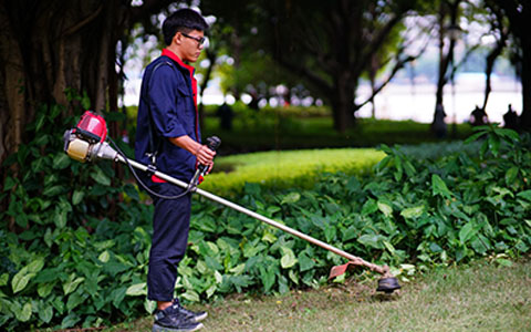 ��ҳ| 918�����ü����й��ٷ���վ