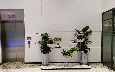 ��ҳ| 918�����ü����й��ٷ���վ