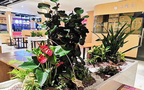 ��ҳ| 918�����ü����й��ٷ���վ