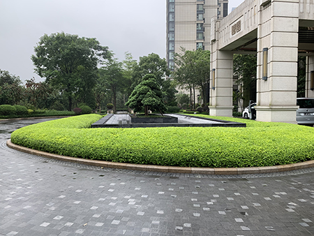 ��ҳ| 918�����ü����й��ٷ���վ