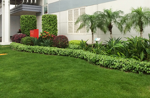 ��ҳ| 918�����ü����й��ٷ���վ