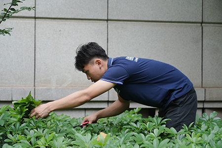 ��ҳ| 918�����ü����й��ٷ���վ