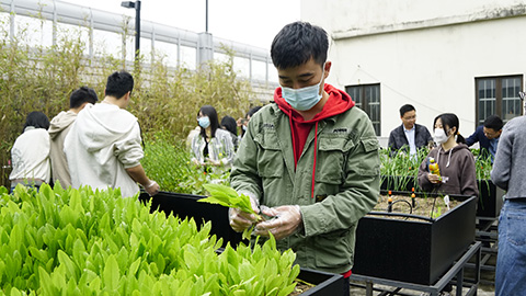 ��ҳ| 918�����ü����й��ٷ���վ