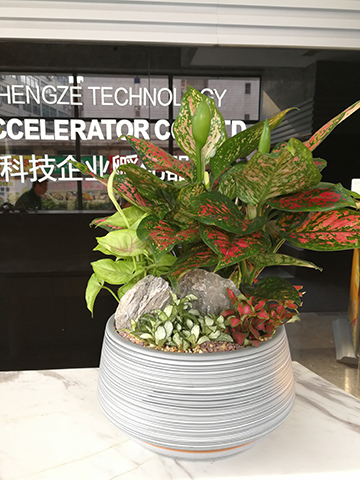 ��ҳ| 918�����ü����й��ٷ���վ