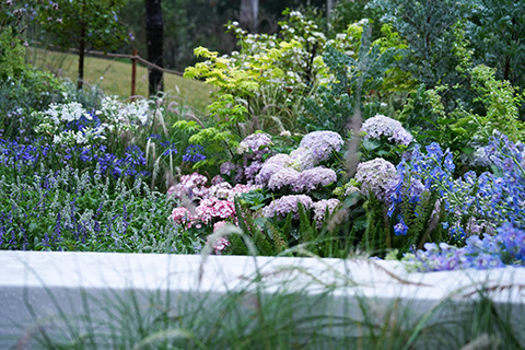 ��ҳ| 918�����ü����й��ٷ���վ