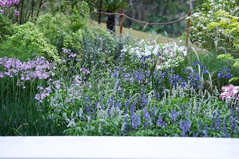 ��ҳ| 918�����ü����й��ٷ���վ