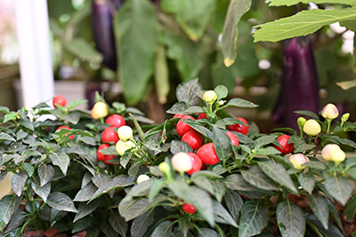 ��ҳ| 918�����ü����й��ٷ���վ