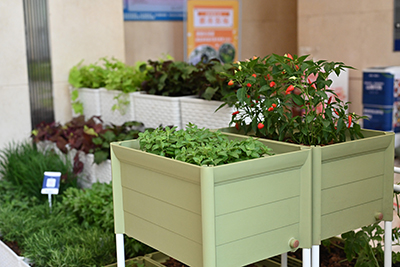 ��ҳ| 918�����ü����й��ٷ���վ