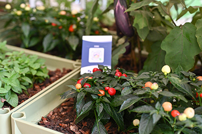 ��ҳ| 918�����ü����й��ٷ���վ