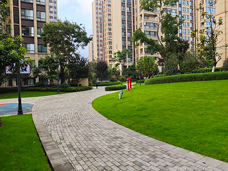 ��ҳ| 918�����ü����й��ٷ���վ