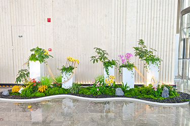 ��ҳ| 918�����ü����й��ٷ���վ