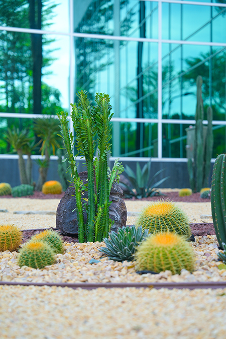 ��ҳ| 918�����ü����й��ٷ���վ