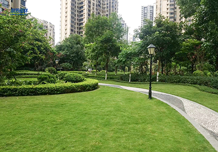 ��ҳ| 918�����ü����й��ٷ���վ