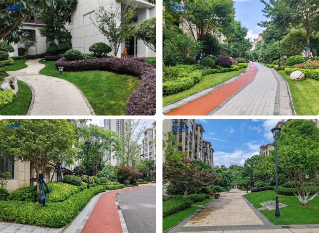 ��ҳ| 918�����ü����й��ٷ���վ