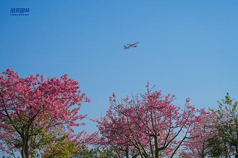 ��ҳ| 918�����ü����й��ٷ���վ