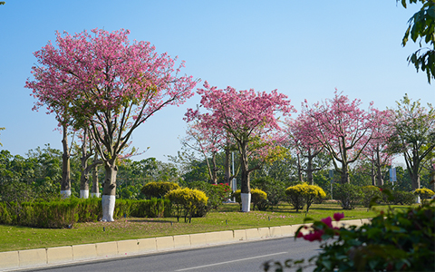 ��ҳ| 918�����ü����й��ٷ���վ