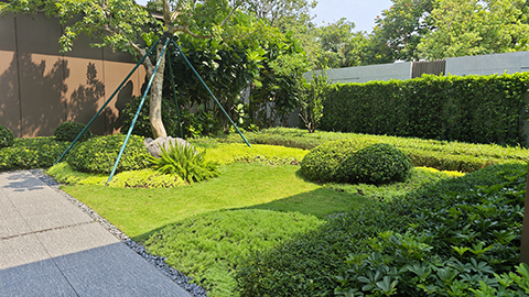 ��ҳ| 918�����ü����й��ٷ���վ