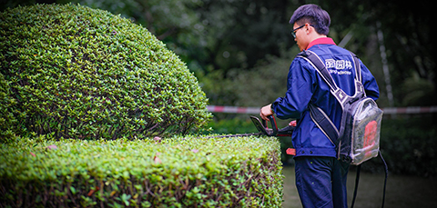 ��ҳ| 918�����ü����й��ٷ���վ