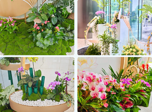 ��ҳ| 918�����ü����й��ٷ���վ