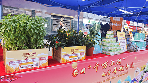 ��ҳ| 918�����ü����й��ٷ���վ