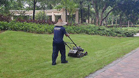 ��ҳ| 918�����ü����й��ٷ���վ