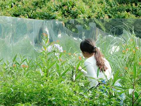 ��ҳ| 918�����ü����й��ٷ���վ