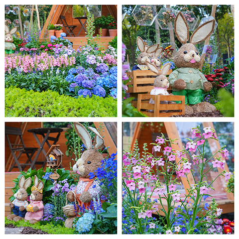 ��ҳ| 918�����ü����й��ٷ���վ