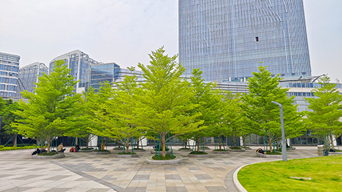 ��ҳ| 918�����ü����й��ٷ���վ