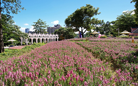 ��ҳ| 918�����ü����й��ٷ���վ