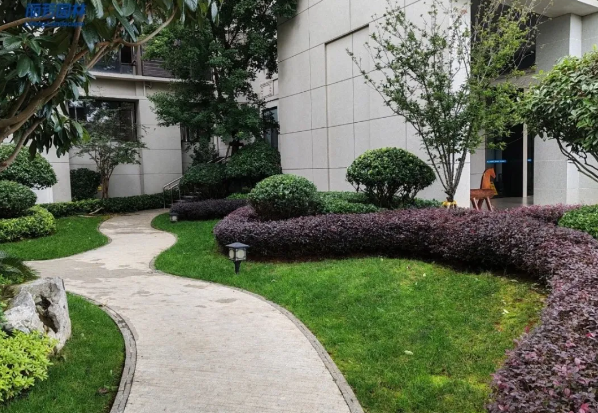 ��ҳ| 918�����ü����й��ٷ���վ