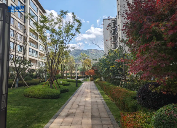 ��ҳ| 918�����ü����й��ٷ���վ