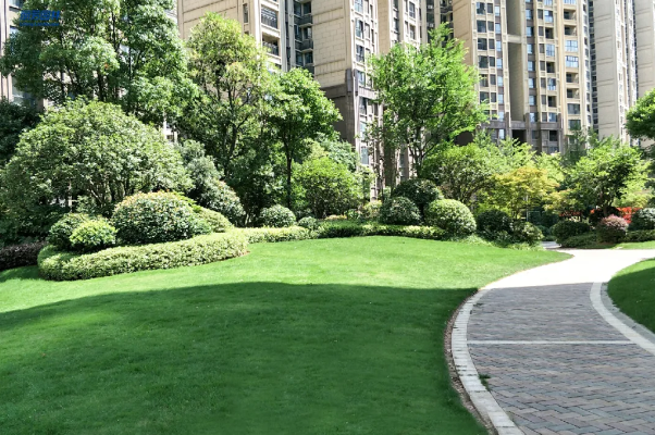 ��ҳ| 918�����ü����й��ٷ���վ