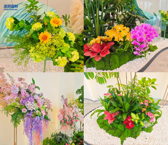 ��ҳ| 918�����ü����й��ٷ���վ