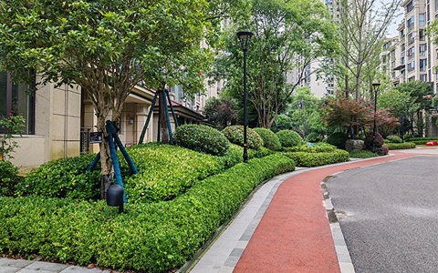 ��ҳ| 918�����ü����й��ٷ���վ