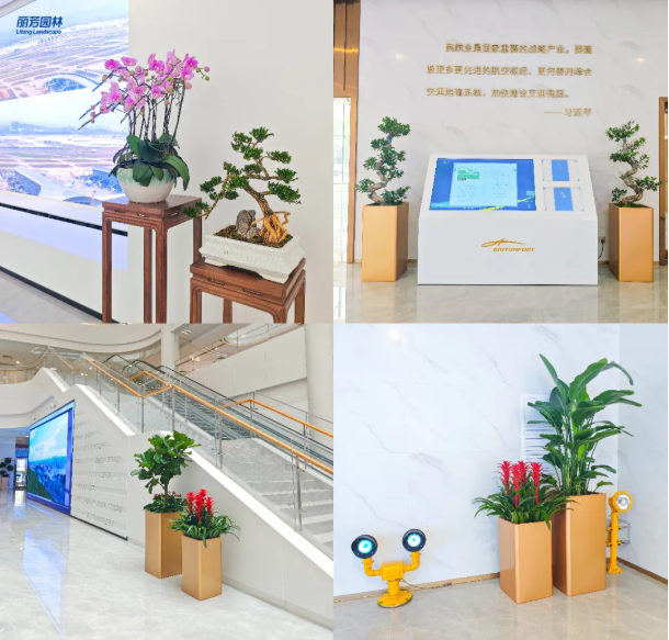 ��ҳ| 918�����ü����й��ٷ���վ