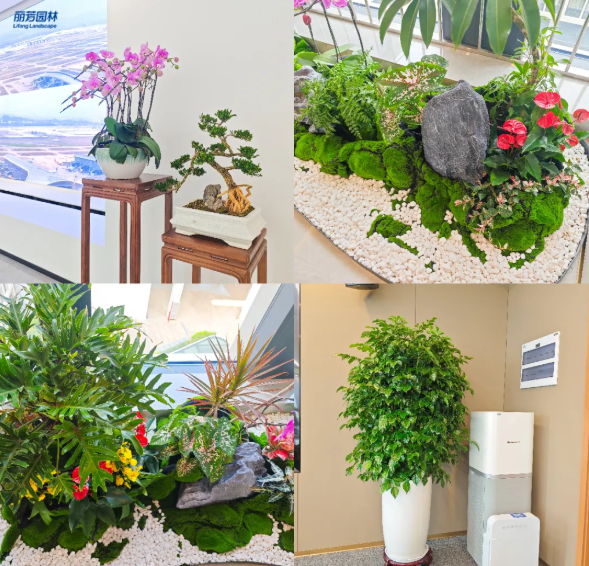 ��ҳ| 918�����ü����й��ٷ���վ